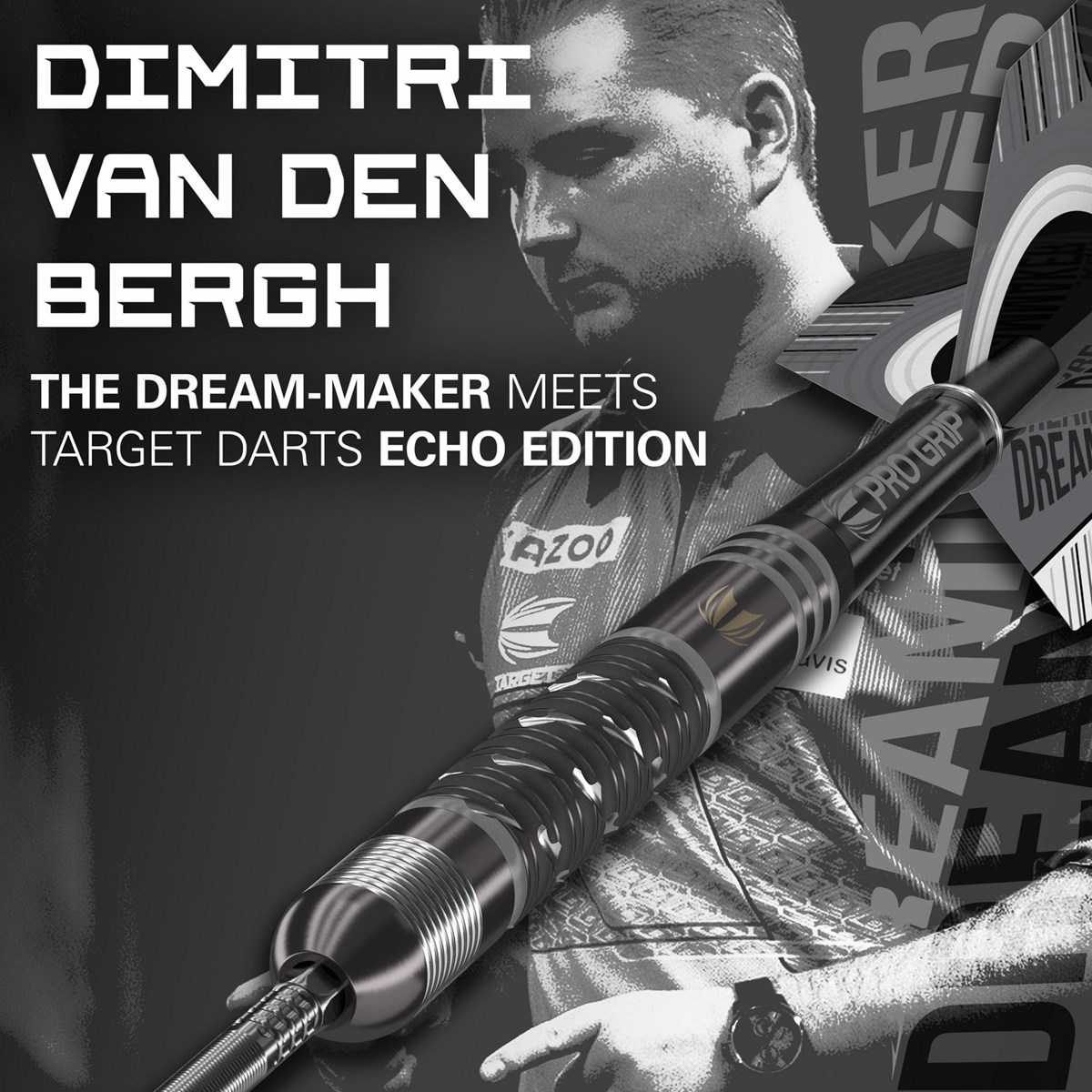 Target Darts Dimitri Van Den Bergh 90% x Echo SP Steel Tip Darts  22 grams