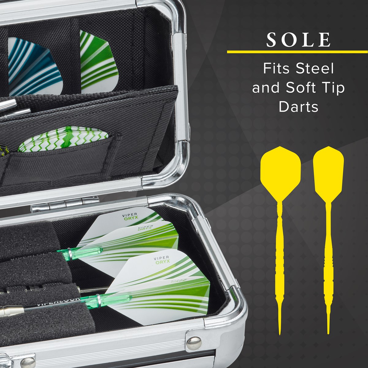 GLD Casemaster Sole Dart Case